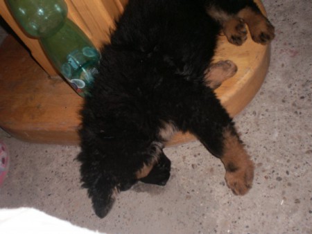 treba si oddýchnuť