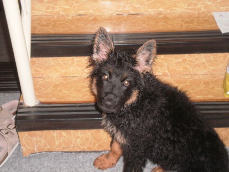 Som fešák ? Práve som sa kúpal