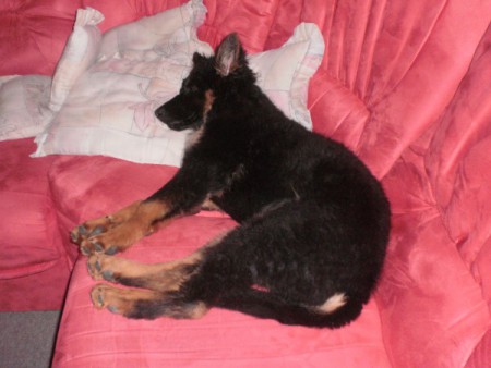 nebuďte ma do desiatej