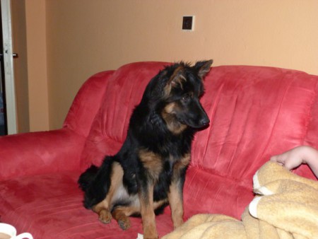 máš pre mňa odmenu ?