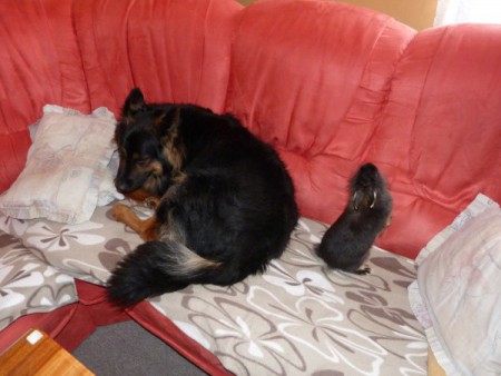 ako sa tam dostanem ?