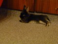 /album/fotky-mia/p1020583-jpg/