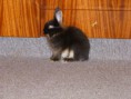 /album/fotky-mia/p1020586-jpg/