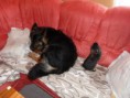/album/fotky-mia/p1020679-jpg/