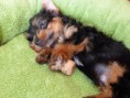 /album/beny/p1020685-jpg/
