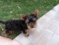 /album/beny/p1020750-jpg/
