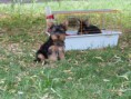 /album/beny/p1020751-jpg/