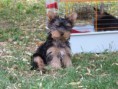 /album/beny/p1020752-jpg/