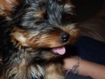 /album/beny/p1030096-jpg/
