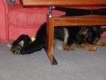 /album/beny/p1030097-jpg/
