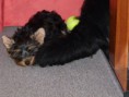 /album/beny/p1030098-jpg/