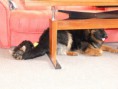 /album/beny/p1030100-jpg/