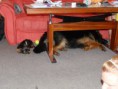 /album/beny/p1030103-jpg/