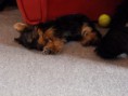 /album/beny/p1030104-jpg/