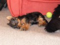 /album/beny/p1030105-jpg/