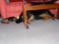 /album/beny/p1030106-jpg/