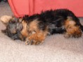 /album/beny/p1030107-jpg/