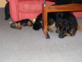 /album/beny/p1030108-jpg/